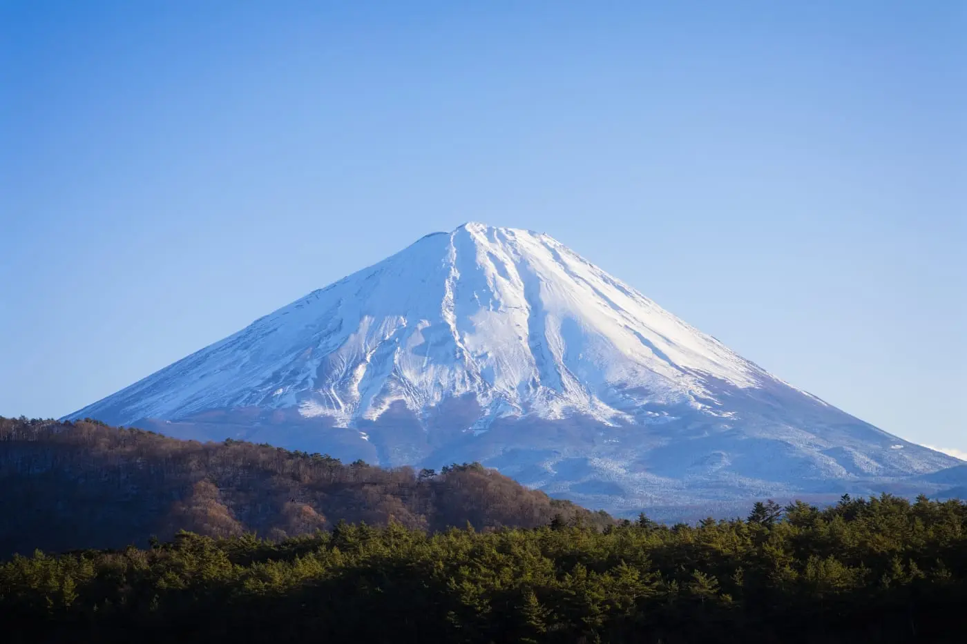 Mt. Fuji 5th Station・Arakurayama Sengen Park in Tokyo