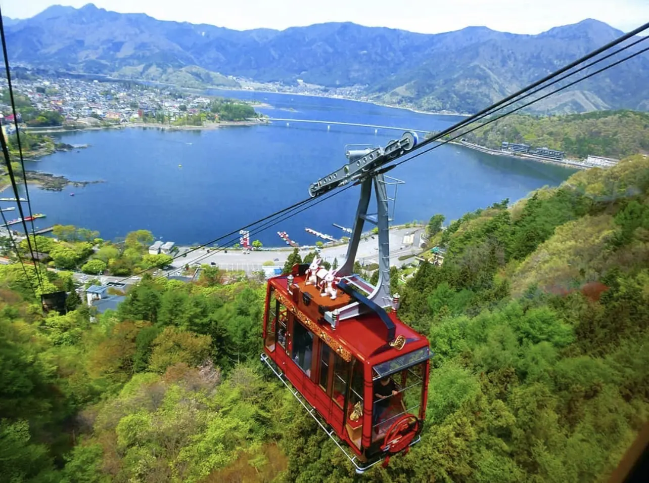Mount Fuji One Day Tour: Tour H in Tokyo