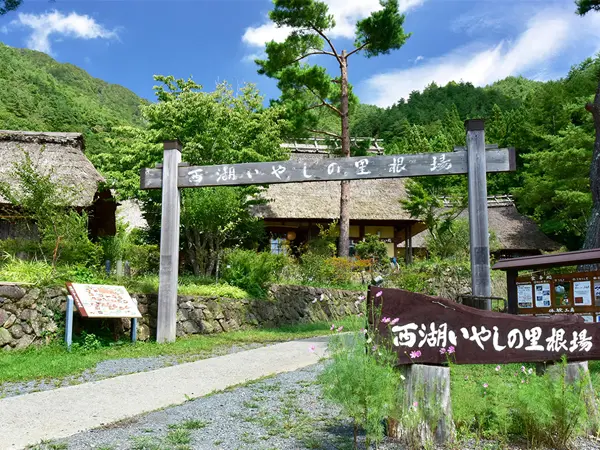 Mount Fuji One Day Tour: Tour H in Tokyo - Photo 5