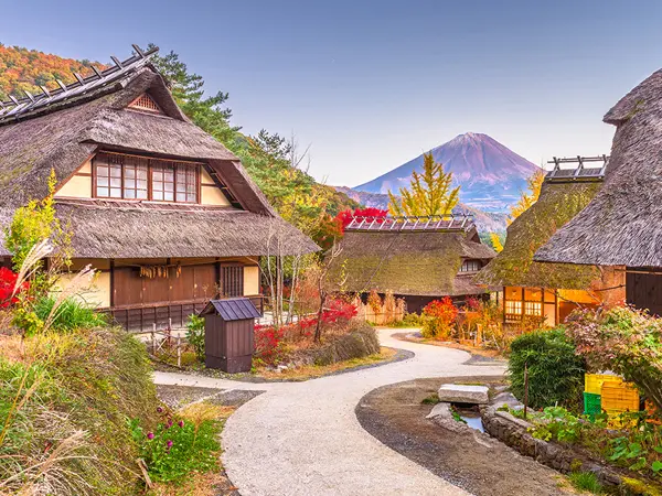 Mount Fuji One Day Tour: Tour H in Tokyo - Photo 8