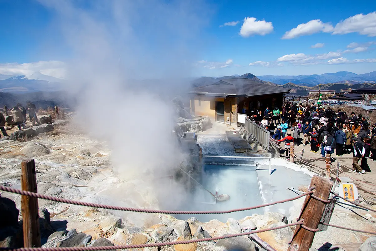 Mount Fuji and Hakone Day Tour: Land, Sea, and Sky Adventure with Ropeway |Tokyo Mount Fuji and Hakone Day Tour: Land, Sea, and Sky Adventure with Ropeway |Tokyo in Tokyo - Photo 2