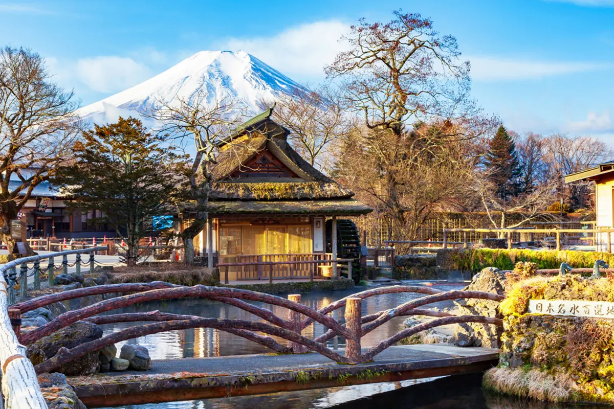 Mount Fuji and Hakone Day Tour: Land, Sea, and Sky Adventure with Ropeway |Tokyo Mount Fuji and Hakone Day Tour: Land, Sea, and Sky Adventure with Ropeway |Tokyo in Tokyo - Photo 5