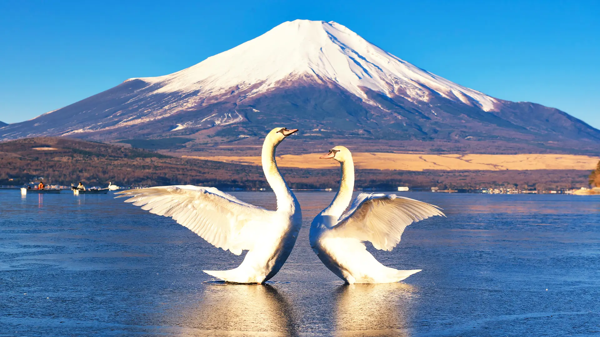 Mount Fuji and Hakone Day Tour: Land, Sea, and Sky Adventure with Ropeway |Tokyo Mount Fuji and Hakone Day Tour: Land, Sea, and Sky Adventure with Ropeway |Tokyo in Tokyo - Photo 9