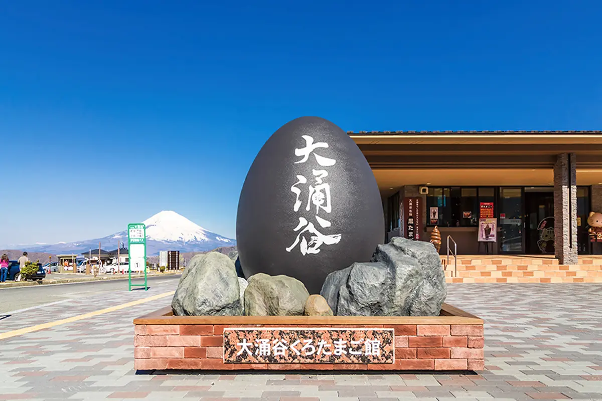 Mount Fuji and Hakone Day Tour: Land, Sea, and Sky Adventure with Ropeway |Tokyo Mount Fuji and Hakone Day Tour: Land, Sea, and Sky Adventure with Ropeway |Tokyo in Tokyo - Photo 11