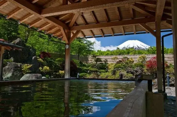Fuji Twin Lakes Hot Springs Day Tour in Tokyo - Photo 4