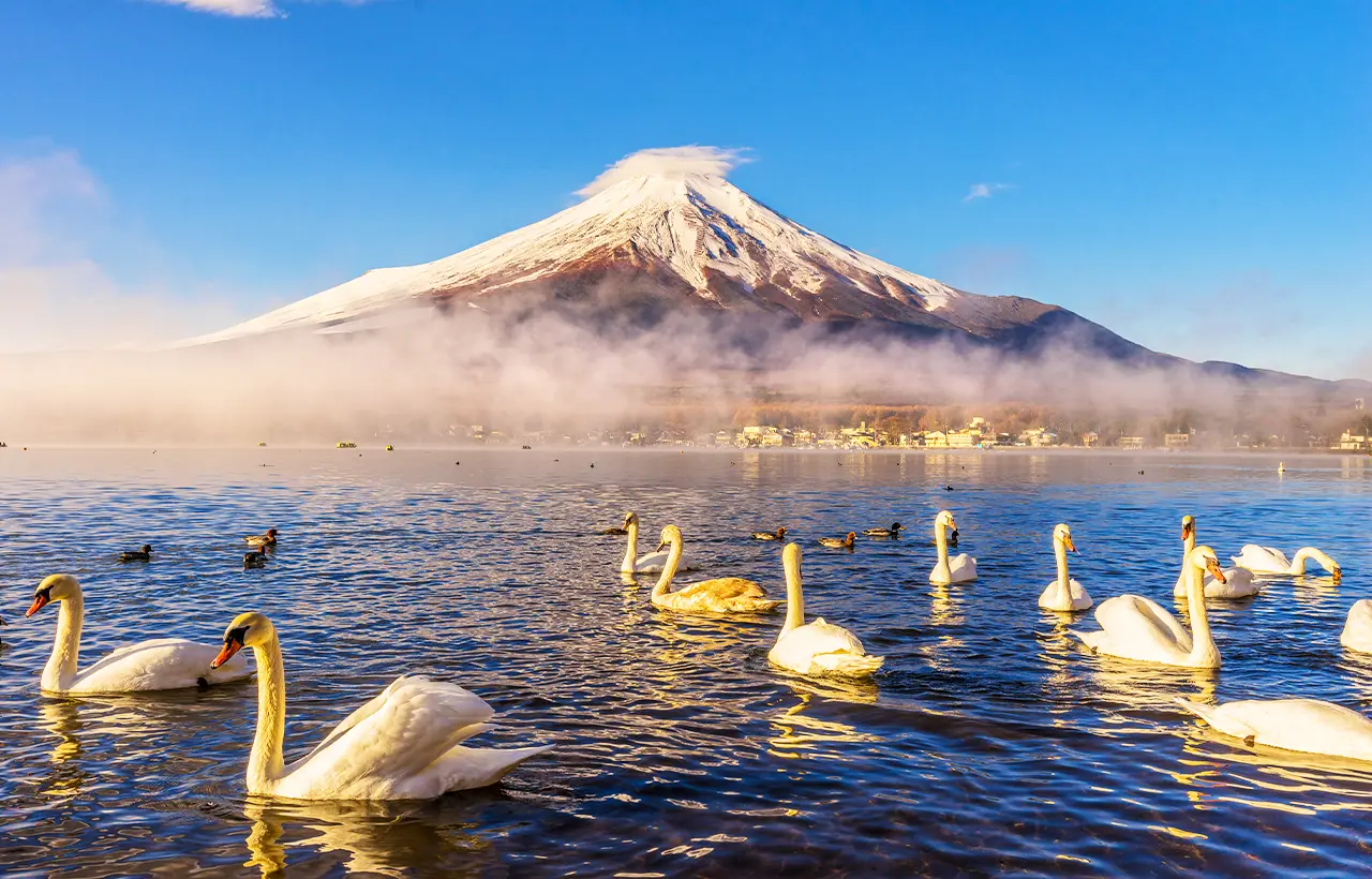 Fuji Twin Lakes Hot Springs Day Tour in Tokyo - Photo 8
