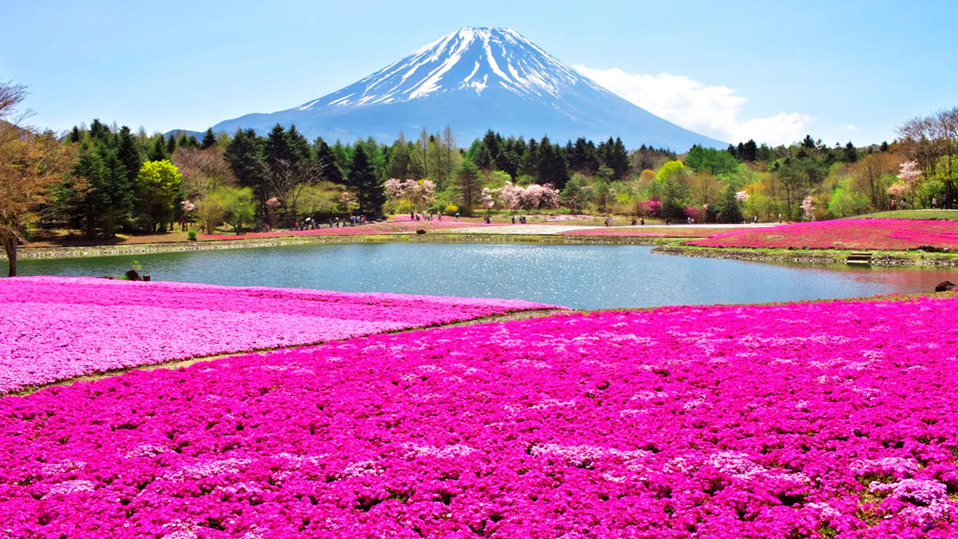 Fuji Twin Lakes Hot Springs Day Tour in Tokyo - Photo 9