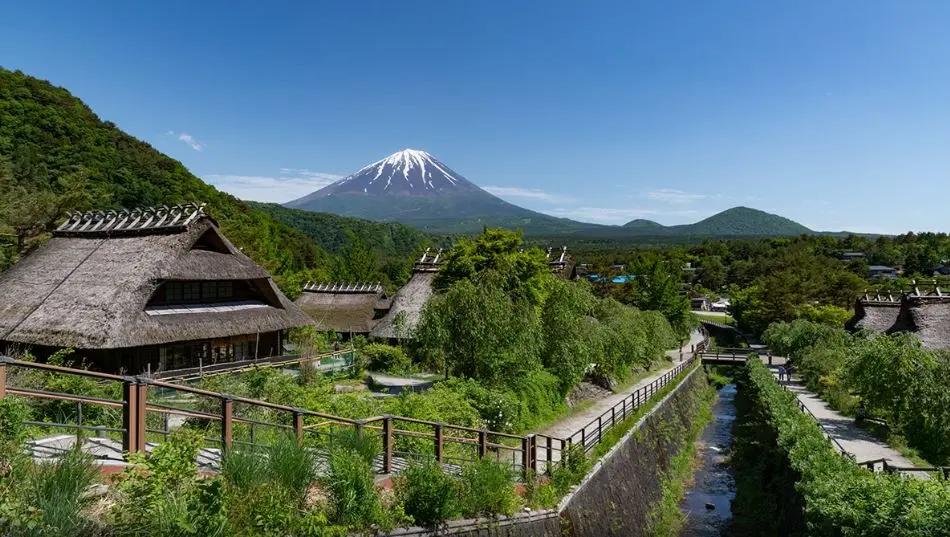 One-Day Tour of Mount Fuji West Lake Healing Reagan Field in Tokyo