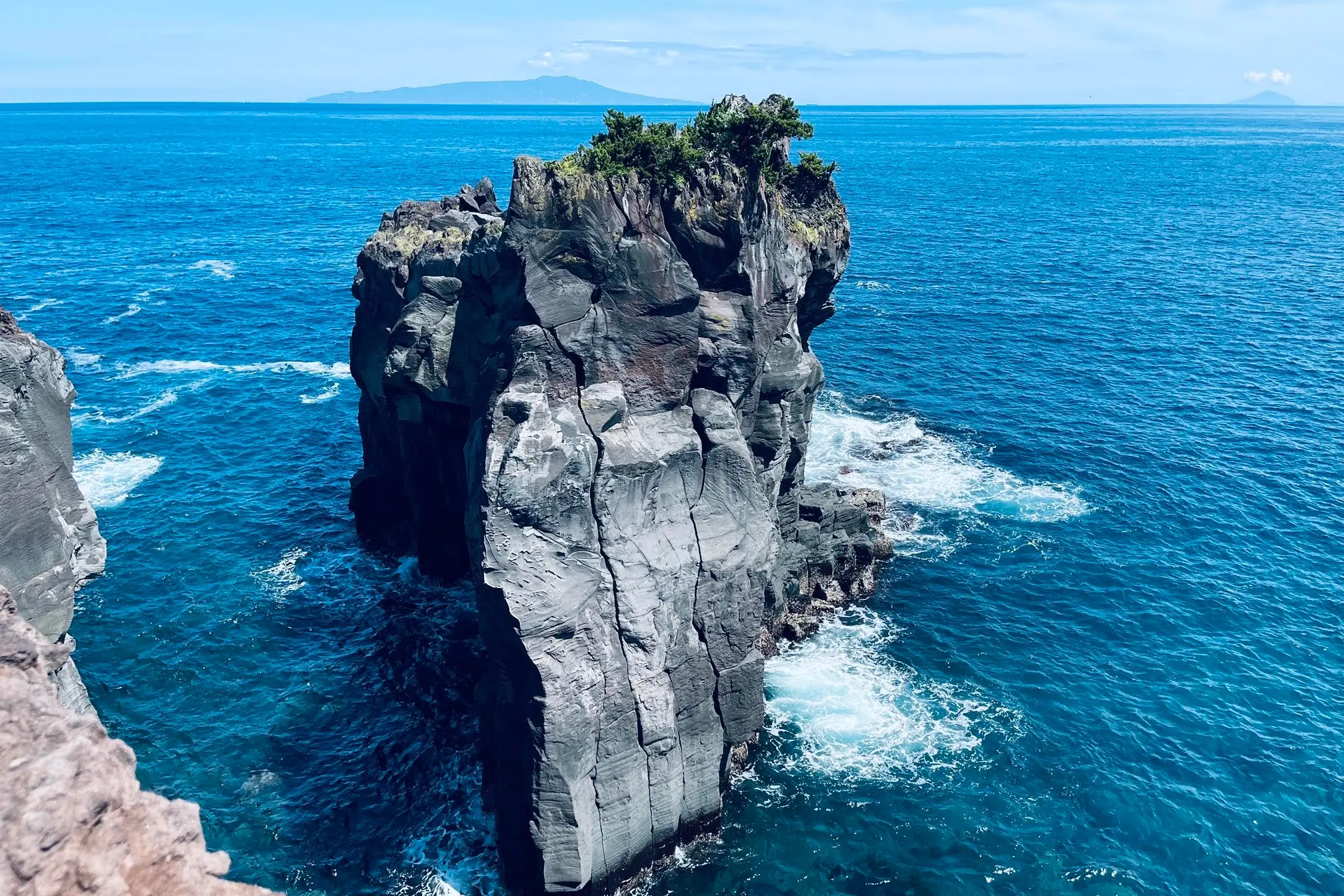 One day tour in Izu: Atami Sunshine Coast Road, Jogasaki Coast, and Izu Omuroyama Day Tour|Tokyo One day tour in Izu: Atami Sunshine Coast Road, Jogasaki Coast, and Izu Omuroyama Day Tour|Tokyo in Tokyo - Photo 4