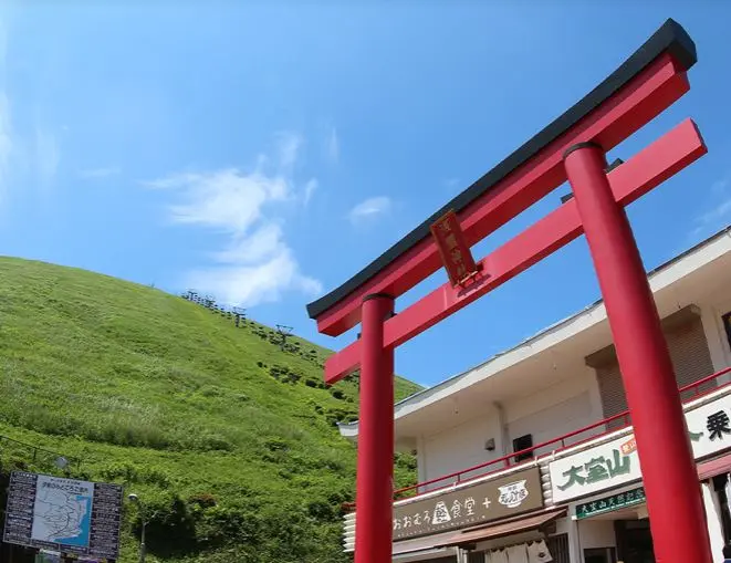 One day tour in Izu: Atami Sunshine Coast Road, Jogasaki Coast, and Izu Omuroyama Day Tour|Tokyo One day tour in Izu: Atami Sunshine Coast Road, Jogasaki Coast, and Izu Omuroyama Day Tour|Tokyo in Tokyo - Photo 5