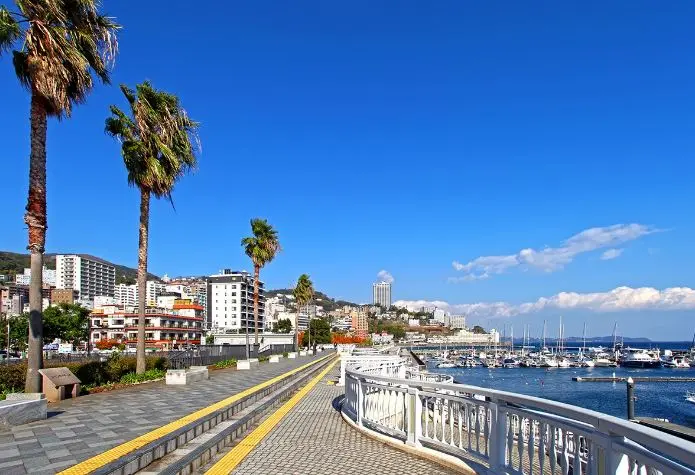 One day tour in Izu: Atami Sunshine Coast Road, Jogasaki Coast, and Izu Omuroyama Day Tour|Tokyo One day tour in Izu: Atami Sunshine Coast Road, Jogasaki Coast, and Izu Omuroyama Day Tour|Tokyo in Tokyo - Photo 6