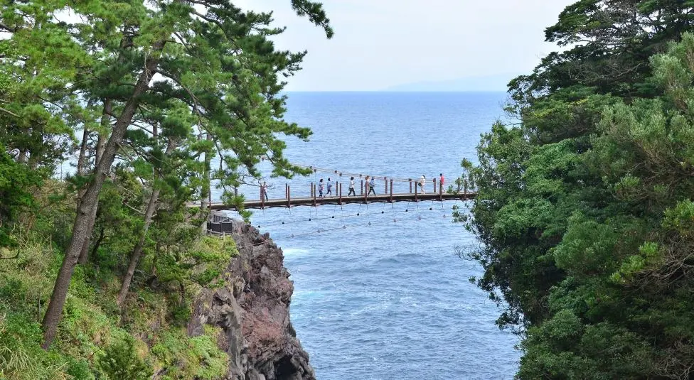 One day tour in Izu: Atami Sunshine Coast Road, Jogasaki Coast, and Izu Omuroyama Day Tour|Tokyo One day tour in Izu: Atami Sunshine Coast Road, Jogasaki Coast, and Izu Omuroyama Day Tour|Tokyo in Tokyo - Photo 7