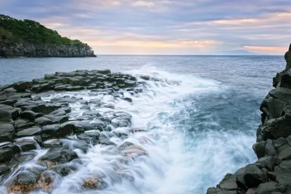 One day tour in Izu: Atami Sunshine Coast Road, Jogasaki Coast, and Izu Omuroyama Day Tour|Tokyo One day tour in Izu: Atami Sunshine Coast Road, Jogasaki Coast, and Izu Omuroyama Day Tour|Tokyo in Tokyo - Photo 8
