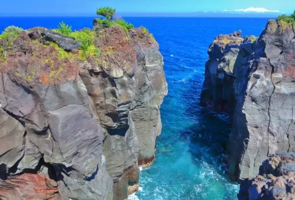 One day tour in Izu: Atami Sunshine Coast Road, Jogasaki Coast, and Izu Omuroyama Day Tour|Tokyo One day tour in Izu: Atami Sunshine Coast Road, Jogasaki Coast, and Izu Omuroyama Day Tour|Tokyo in Tokyo - Photo 9