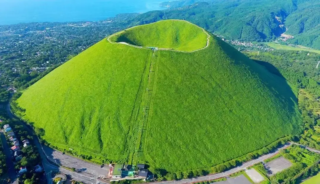 One day tour in Izu: Atami Sunshine Coast Road, Jogasaki Coast, and Izu Omuroyama Day Tour|Tokyo in Tokyo