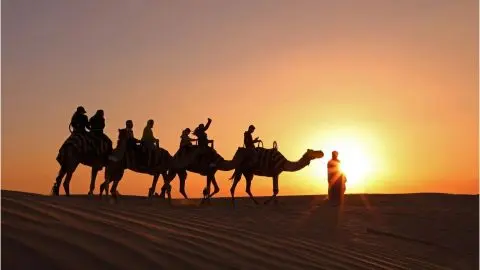 Dubai: Sunset Camel Safari, Stargazing, BBQ at Al Khayma in Dubai