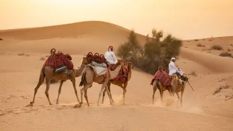 Dubai: Sunset Camel Safari, Stargazing, BBQ at Al Khayma in Dubai - Photo 5