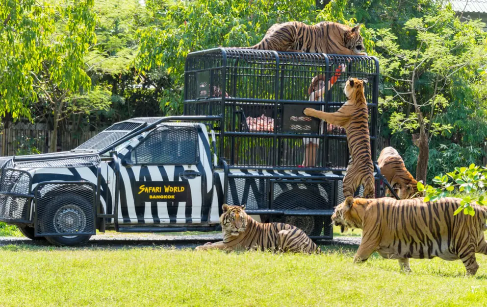 Safari World Bangkok Include Share Transfers Service Tour Meet-up location MBK Center, Asoke (Get Special Privileges at MBK Center) in Bangkok - Photo 9