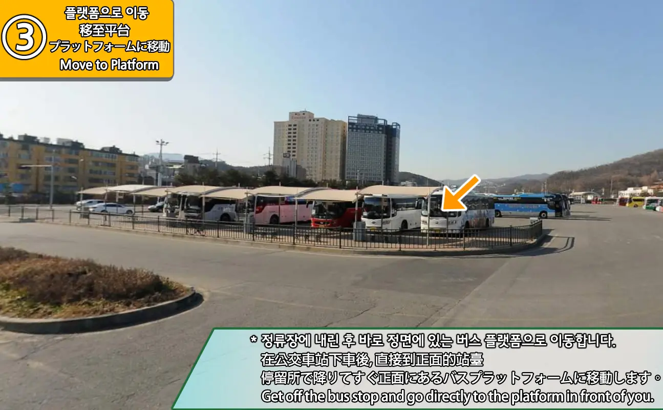 Everland Shuttle Bus in Seoul - Photo 2