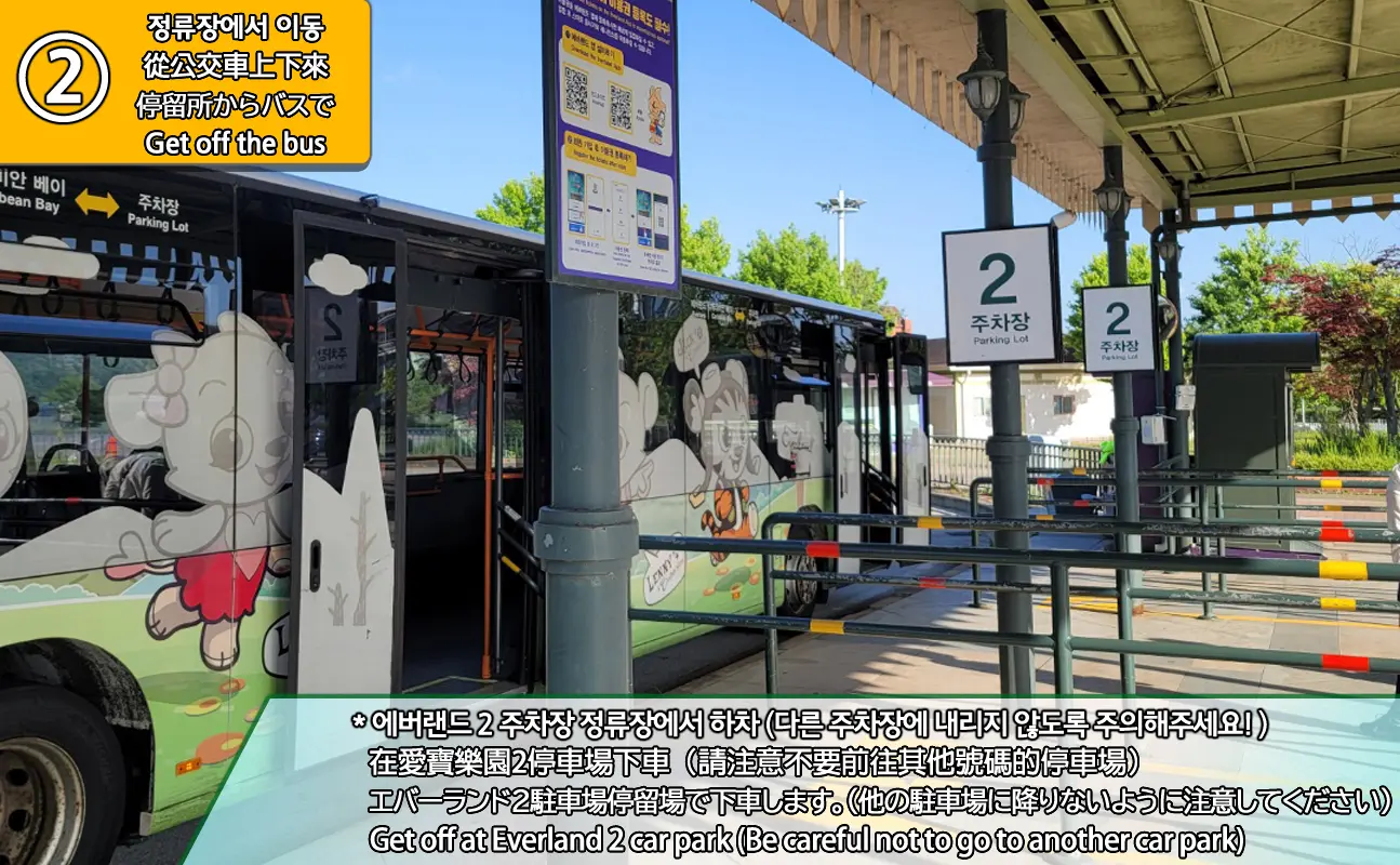 Everland Shuttle Bus in Seoul - Photo 3