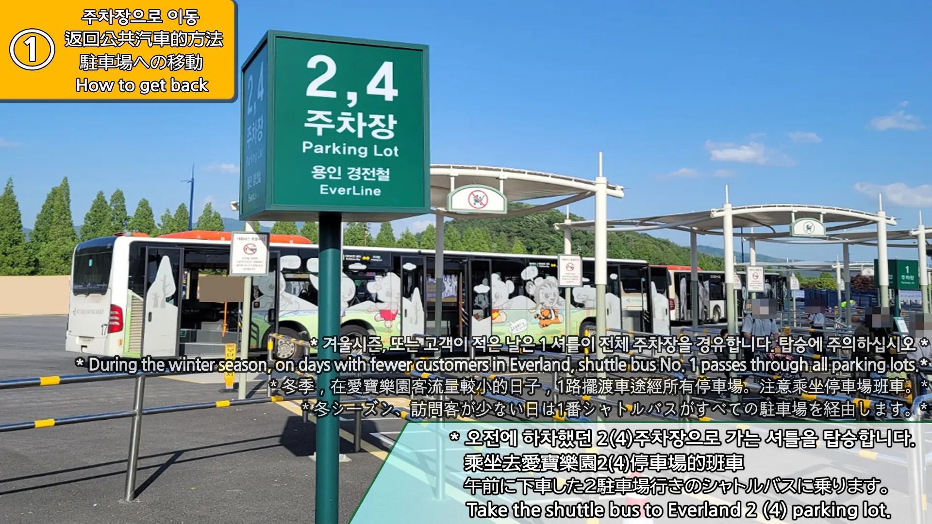 Everland Shuttle Bus in Seoul - Photo 5