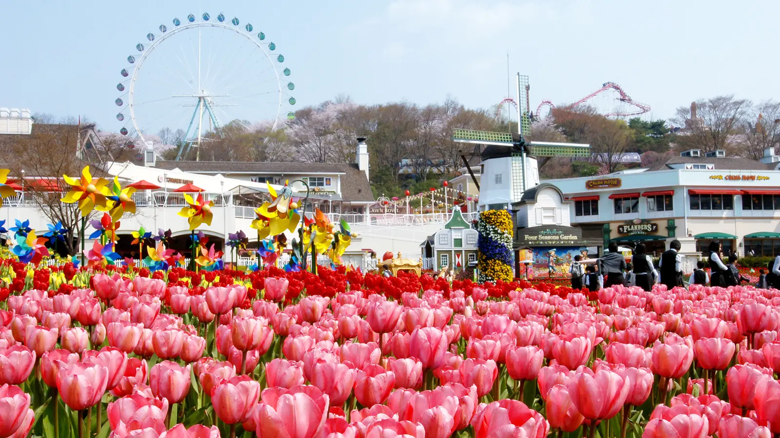 Everland Shuttle Bus in Seoul - Photo 7