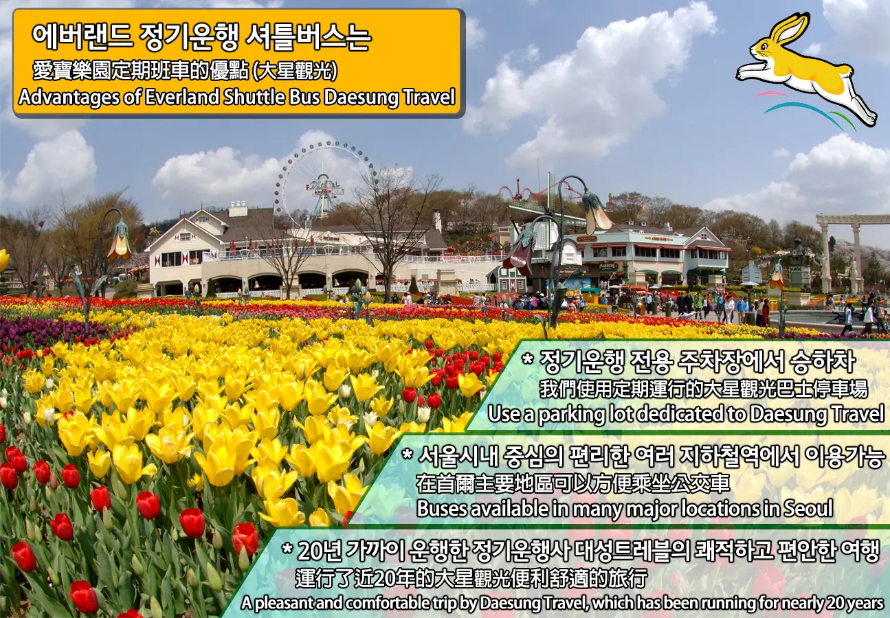 Everland Shuttle Bus in Seoul - Photo 9