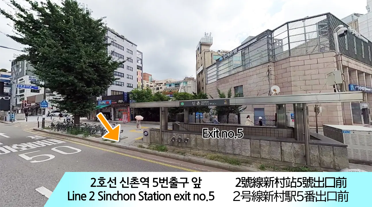 Everland Shuttle Bus in Seoul - Photo 15