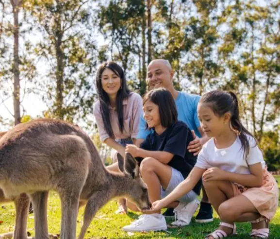 Lone Pine Koala Sanctuary Lone Pine Koala Sanctuary in Brisbane - Photo 2
