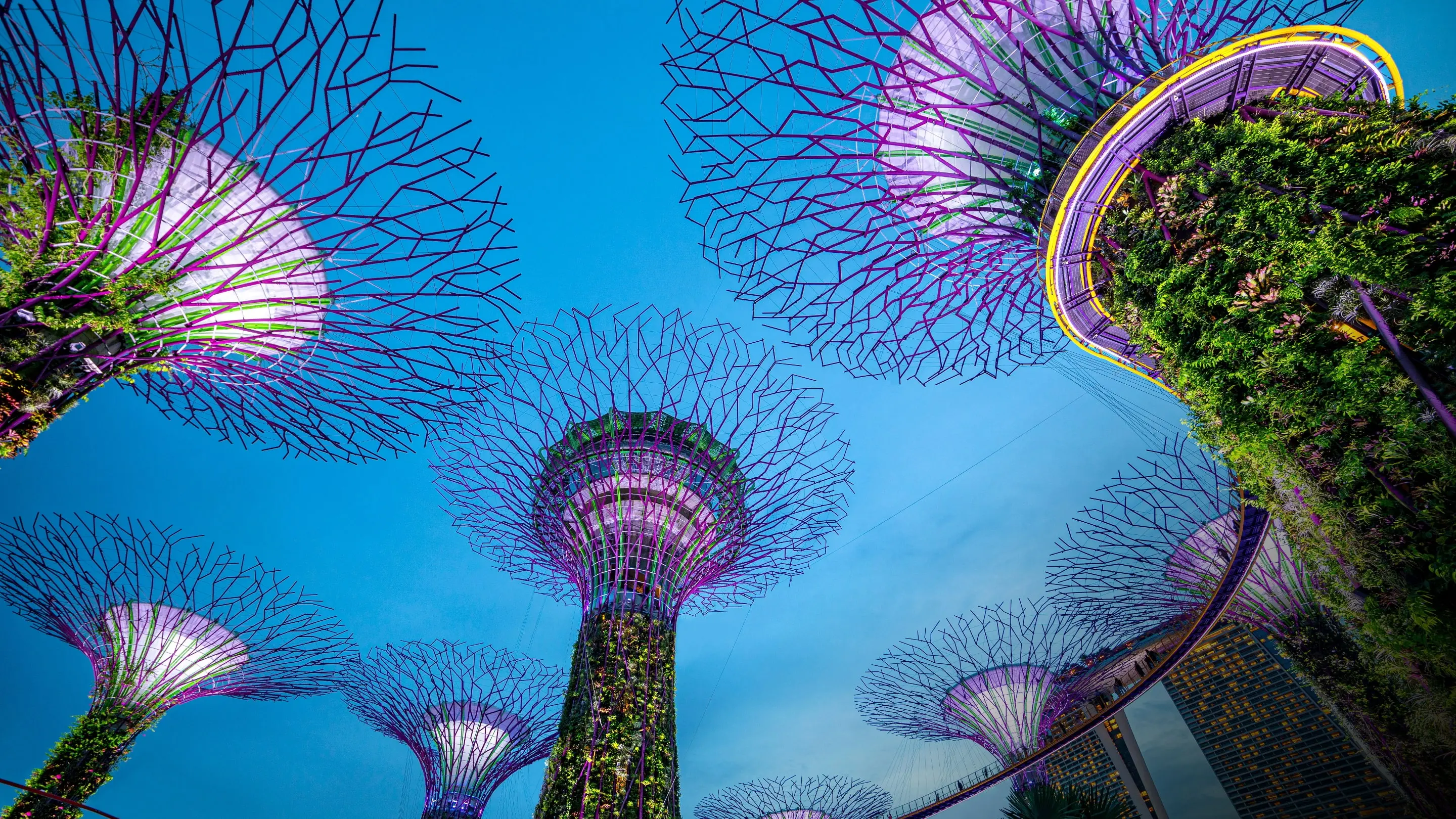 Singapore Marina Bay Night Walk with Spectra & Garden Rhapsody Shows in Singapore - Photo 4
