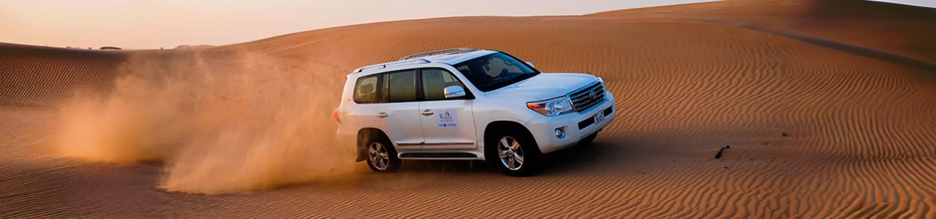 Morning Safari in Dubai - Photo 2
