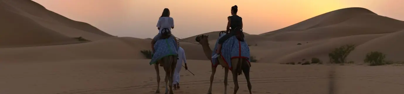 Morning Safari in Dubai