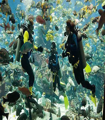 Scuba Diving Tour in Dubai - Photo 2