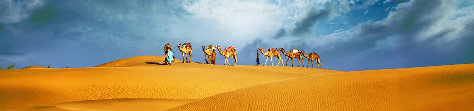 Camel Riding in Dubai