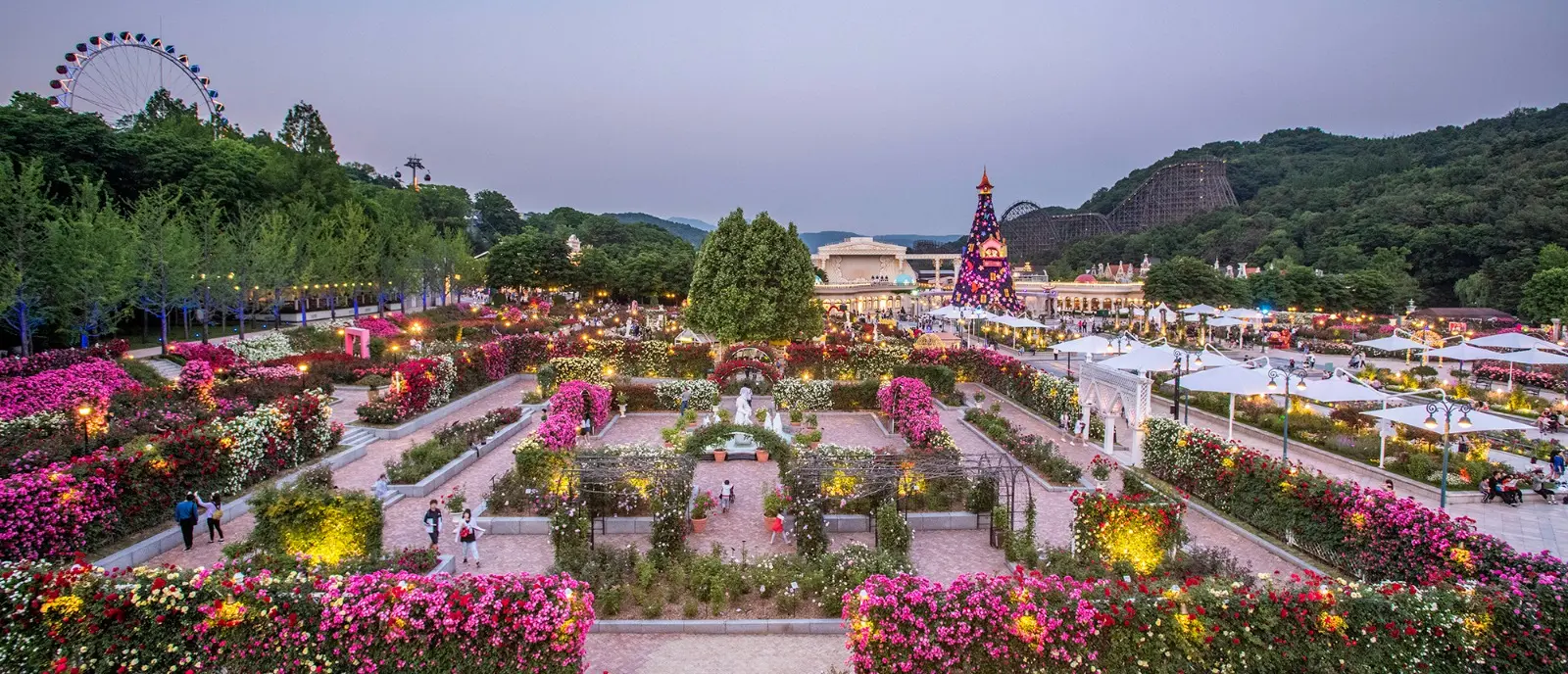 Everland Everland in Seoul - Photo 13