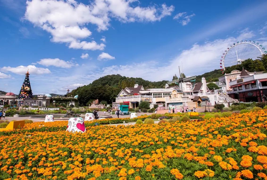 Everland Everland in Seoul - Photo 19