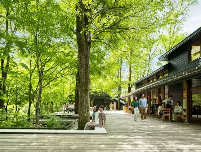 One-day tour to Karuizawa Koedo | Karuizawa Prince Outlet or Hoshino Resorts + Hikawa Shrine + Kawagoe Koedo in Tokyo - Photo 8