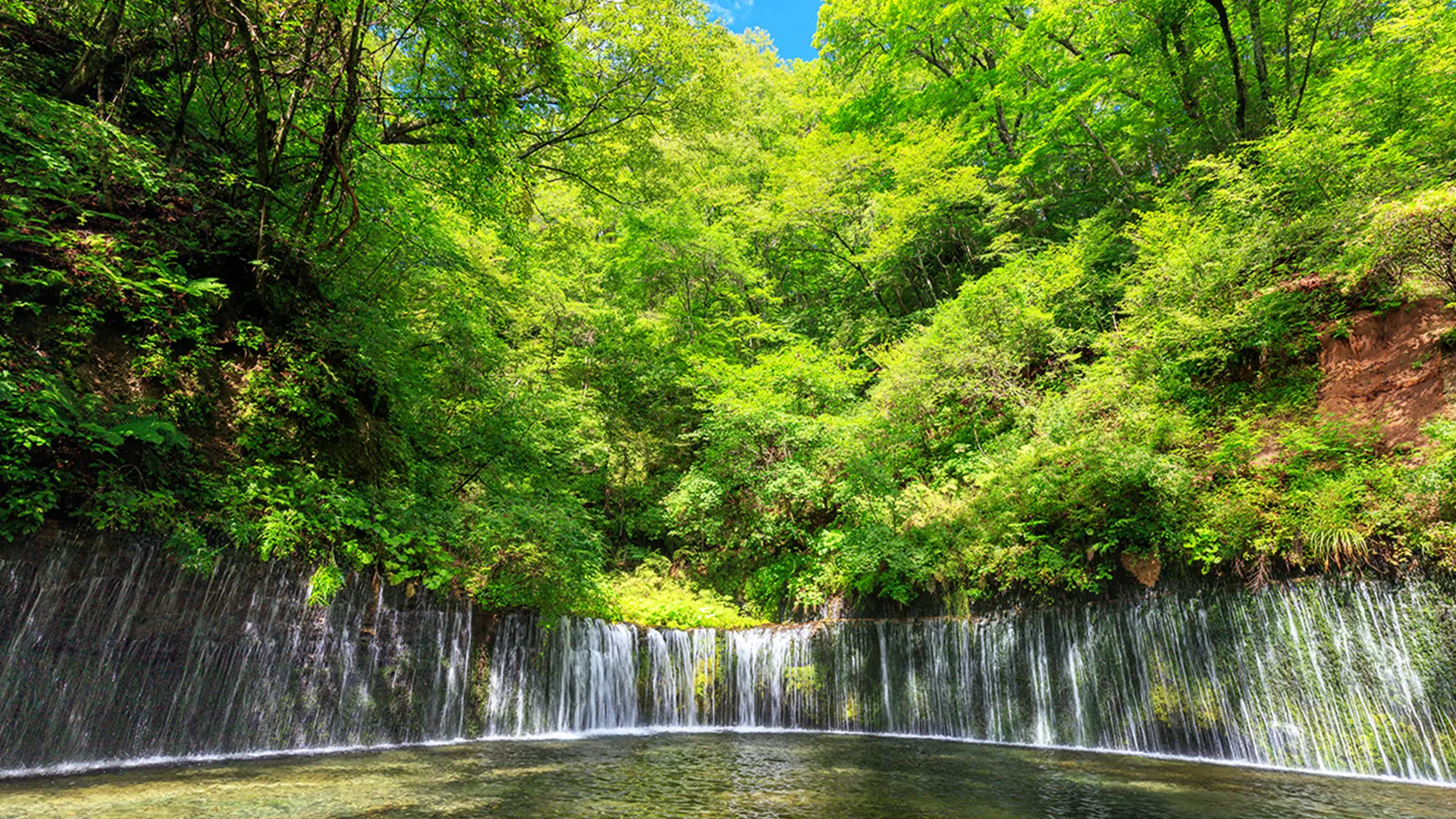 One-day tour to Karuizawa Koedo | Karuizawa Prince Outlet or Hoshino Resorts + Hikawa Shrine + Kawagoe Koedo in Tokyo