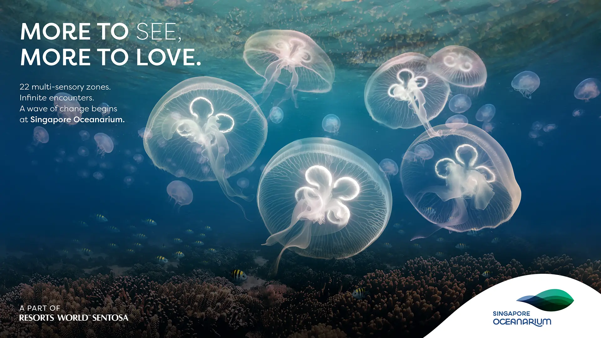 Singapore Oceanarium in Singapore - Photo 3