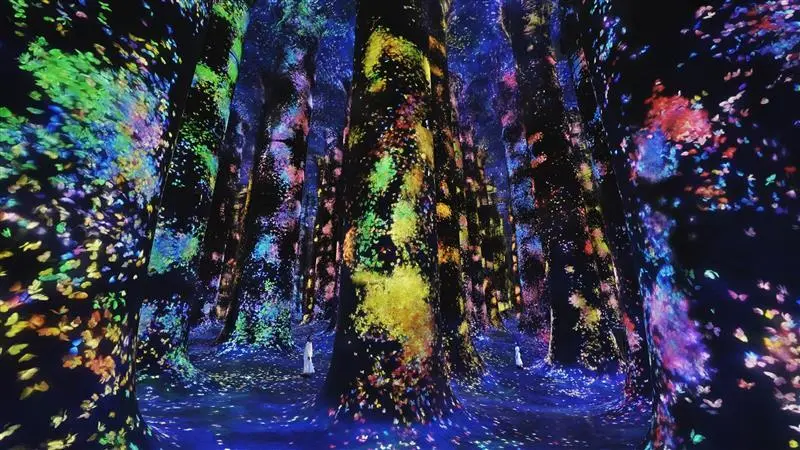teamLab Phenomena Abu Dhabi teamLab Phenomena Abu Dhabi in Abu Dhabi - Photo 3