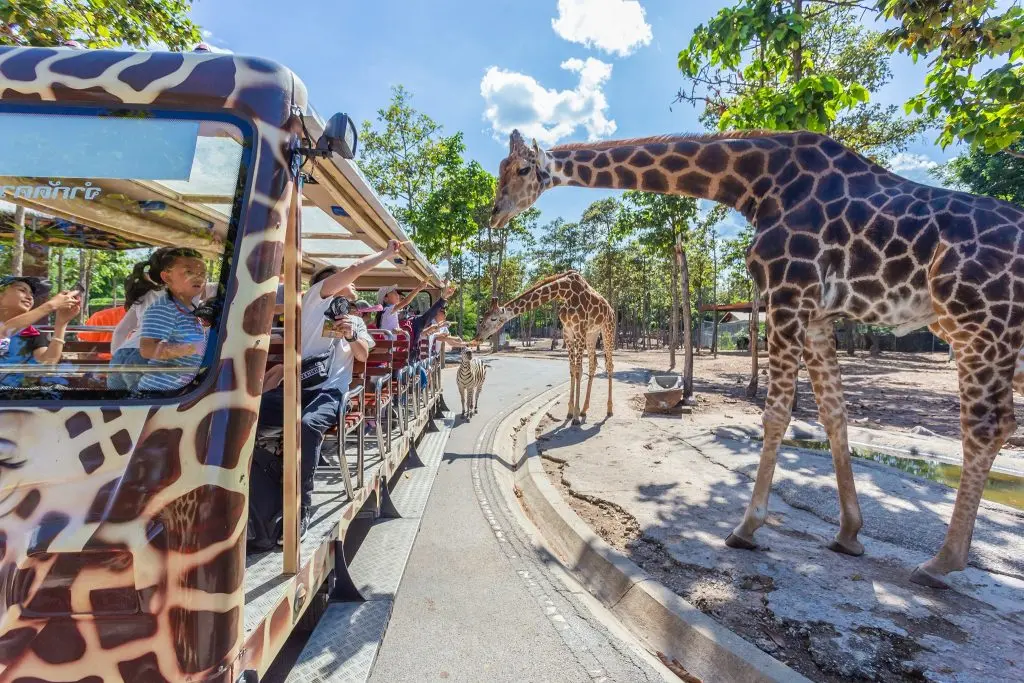 Chiang Mai Night Safari with Share Transfer in Chiang Mai