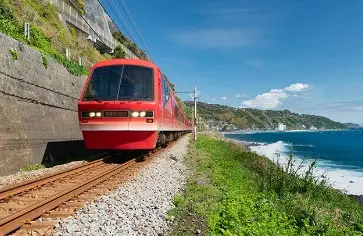 Izu Jogasaki Coast, Mt. Omuro, and Sea View Train Small Group Day Tour | Tokyo in Tokyo