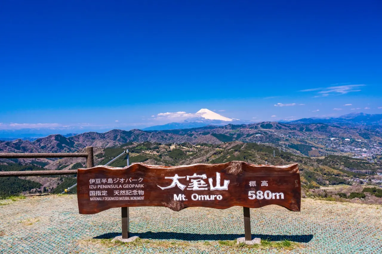Izu Jogasaki Coast, Mt. Omuro, and Sea View Train Small Group Day Tour | Tokyo Izu Jogasaki Coast, Mt. Omuro, and Sea View Train Small Group Day Tour | Tokyo in Tokyo - Photo 9