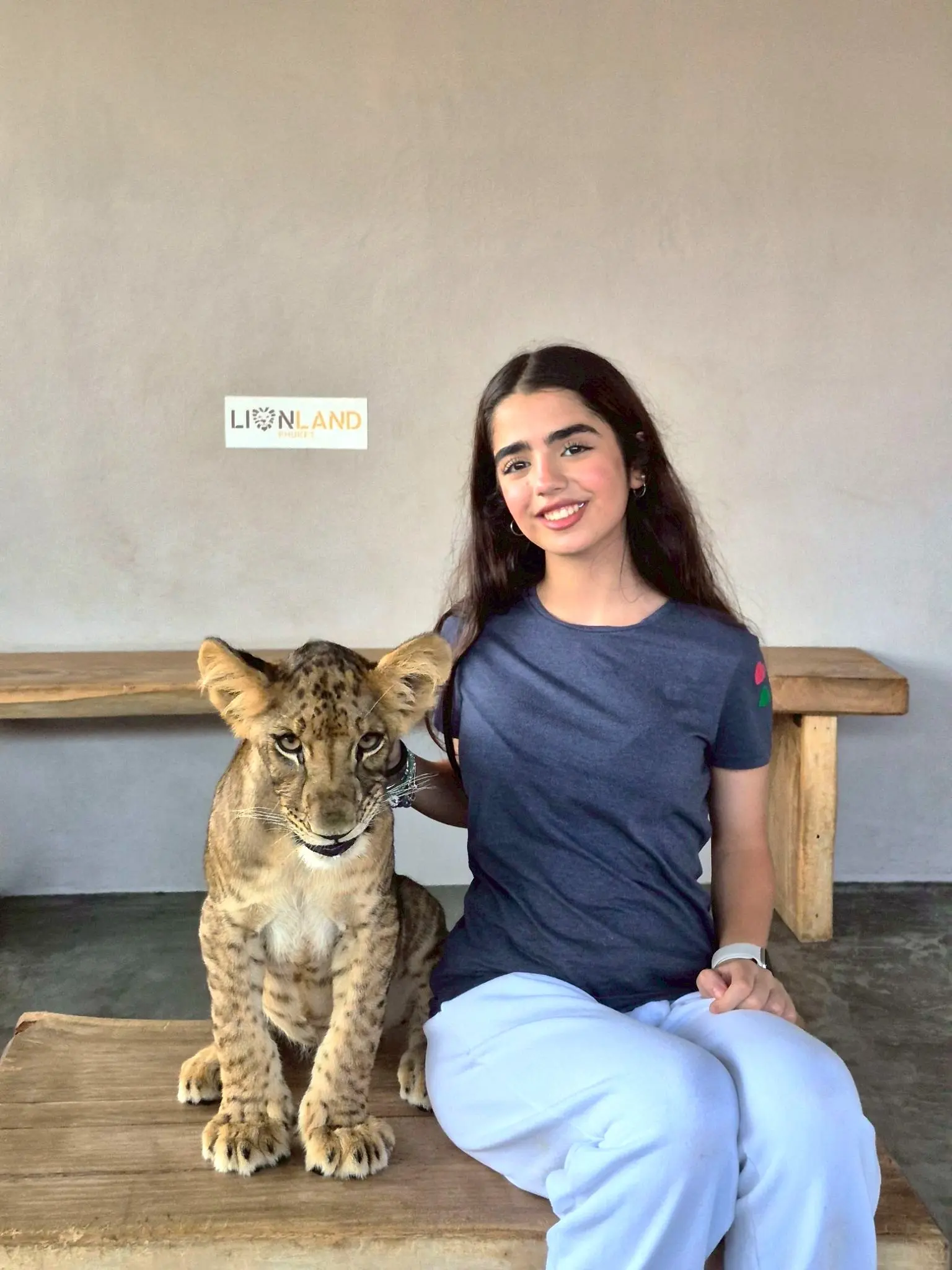 Lion Land Phuket in Phuket - Photo 2