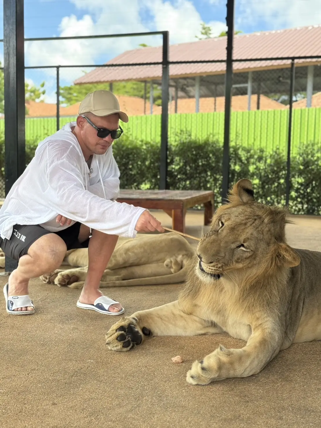 Lion Land Phuket in Phuket - Photo 3