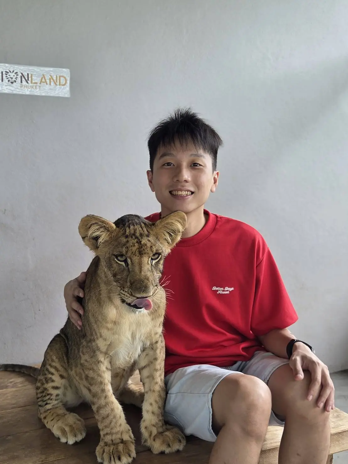 Lion Land Phuket in Phuket - Photo 6