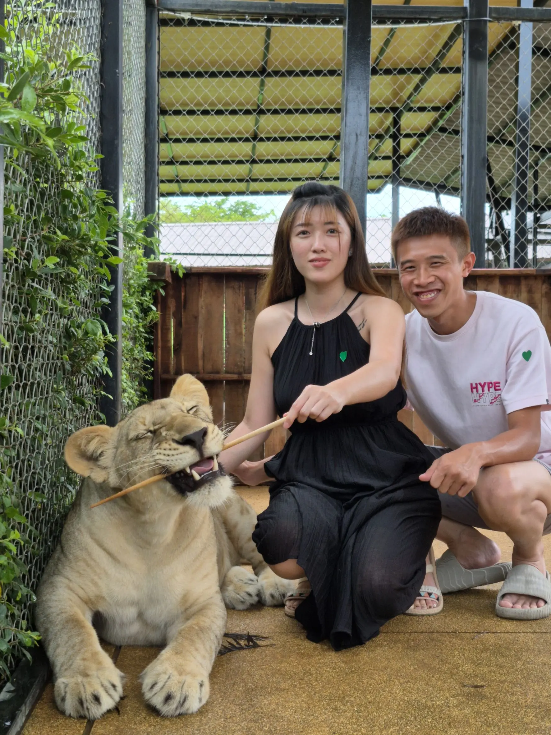 Lion Land Phuket in Phuket - Photo 9