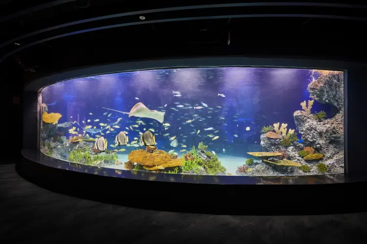 [Non-Korean] [Suwon] Gwanggyo Aqua Planet Discount Ticket in Seoul - Photo 3