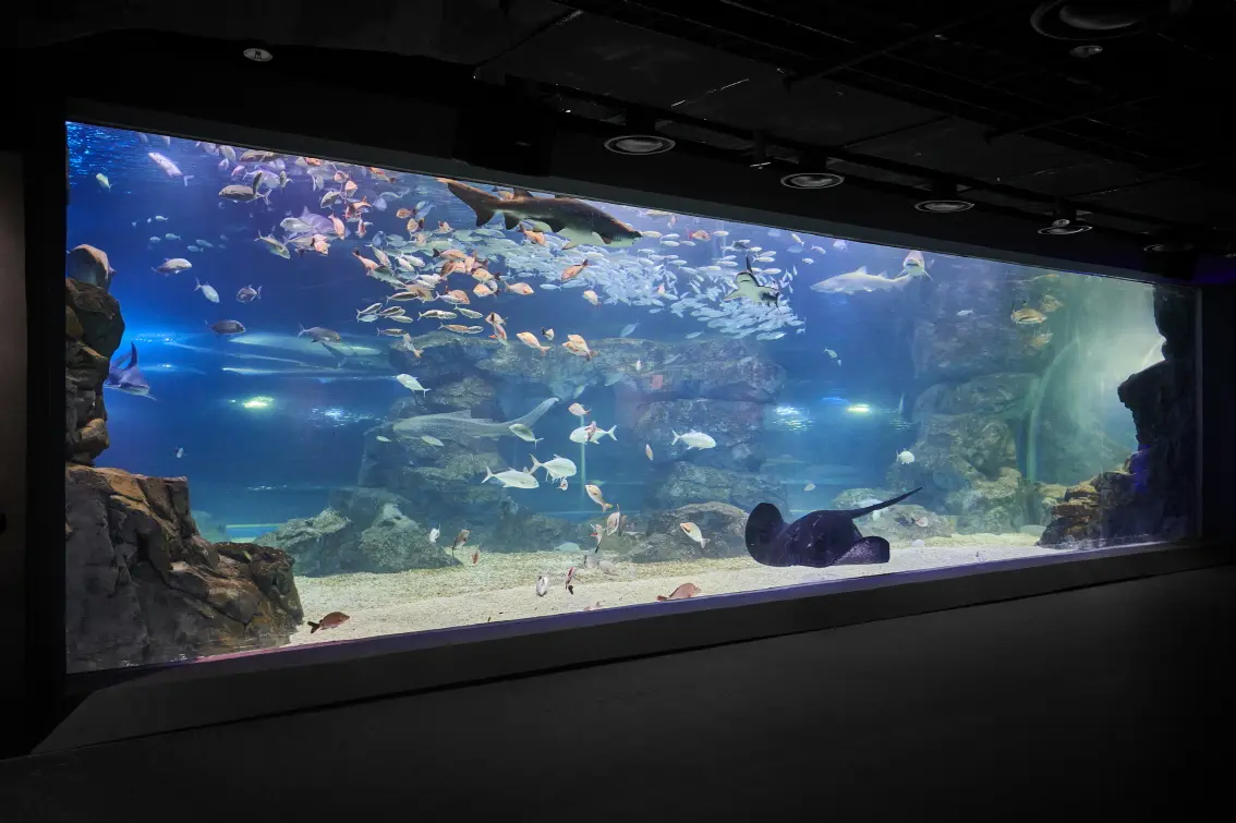 [Non-Korean] [Suwon] Gwanggyo Aqua Planet Discount Ticket in Seoul - Photo 6
