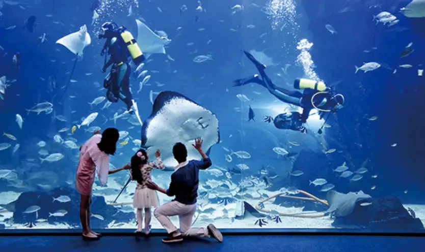 [Non-Korean] [Ilsan] Aqua Planet Discount Ticket in Seoul
